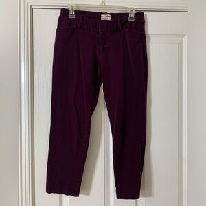 Maroon Cropped Dress Pant